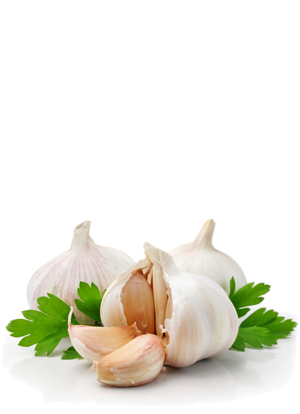 garlic-left